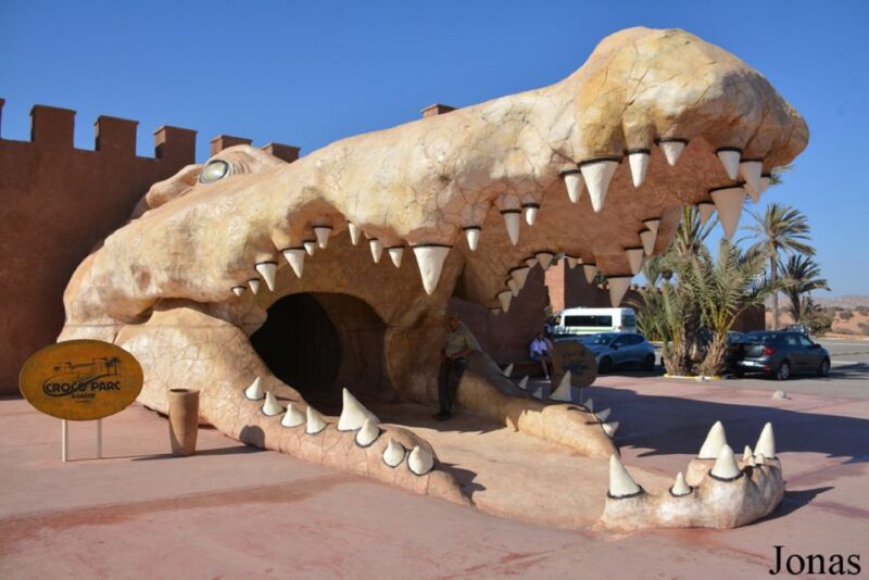 Agadir: Goat on Trees & Crocopark Including Hotel Pickup - Customer Ratings and Feedback