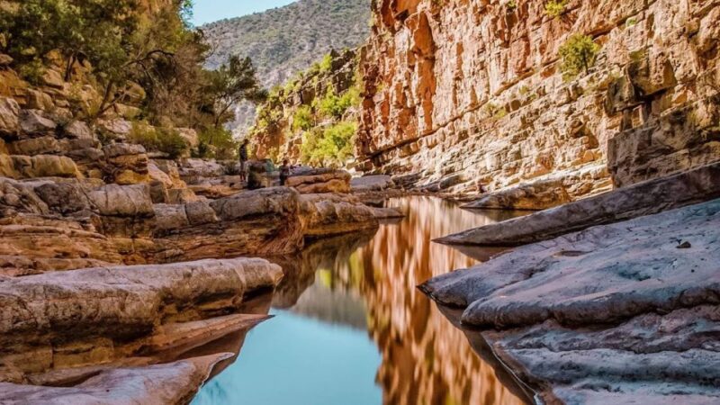 Agadir: Guided Excursion to Paradise Valley - Exploring Natures Wonders