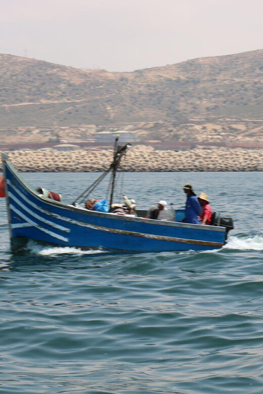 t6541392