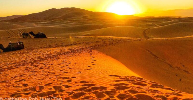 Agadir or Taghazout: 2-Day Zagora Desert Guided Tour - Itinerary: Day 1