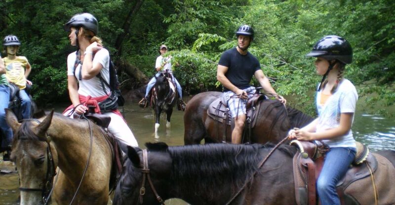 Agadir or Taghazout : Beach and Ranch Horse Riding Tour - Experience the Thrill of Horseback Riding