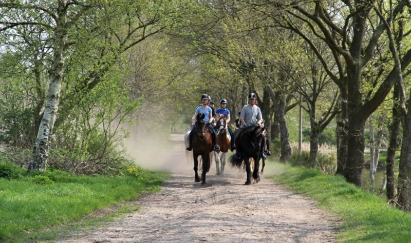 Agadir or Taghazout : Beach and Ranch Horse Riding Tour - Inclusions and Amenities