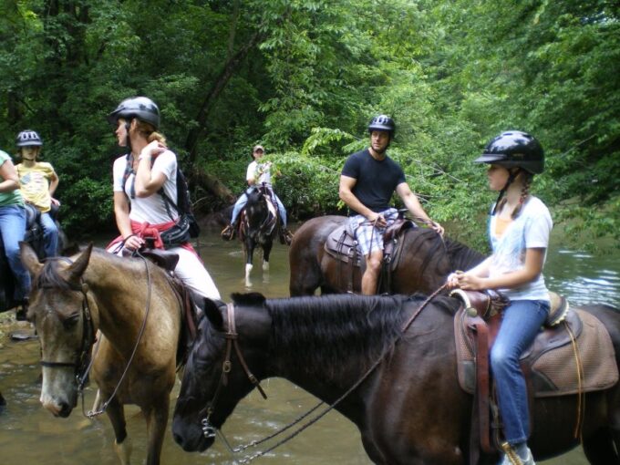 Agadir or Taghazout : Beach and Ranch Horse Riding Tour - Booking and Availability