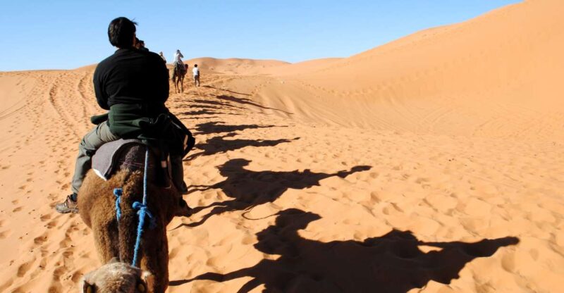 Agadir or Taghazout : Camel Ride in Desert Sand Dunes - Good To Know