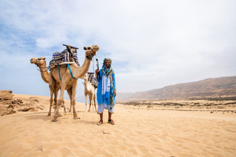 Agadir or Taghazout : Camel Ride in Desert Sand Dunes - Camel or Donkey: Choosing Your Ride