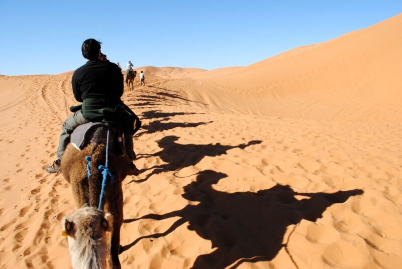 Agadir or Taghazout : Camel Ride in Desert Sand Dunes - The Camel Ride Experience