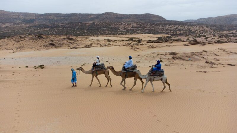 Agadir or Taghazout : Camel Ride in Desert Sand Dunes - The Donkey Ride Adventure