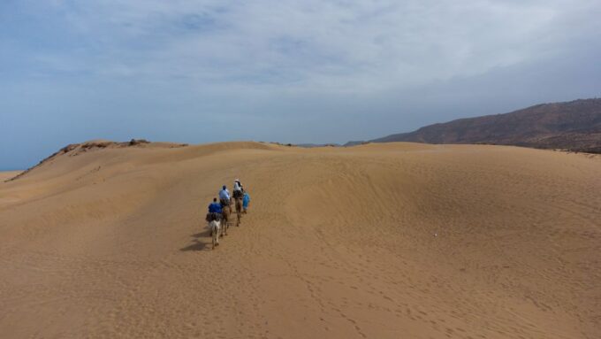Agadir or Taghazout : Camel Ride in Desert Sand Dunes - Moroccan Dining and Refreshments