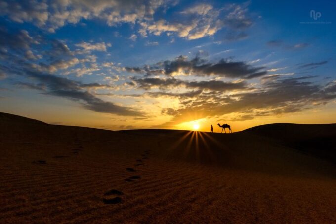 Agadir or Taghazout : Camel Ride in Desert Sand Dunes - Punctual Pickup and Organized Service