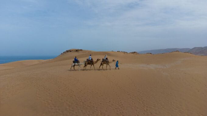 Agadir or Taghazout : Camel Ride in Desert Sand Dunes - Flexible Booking and Travel Plans