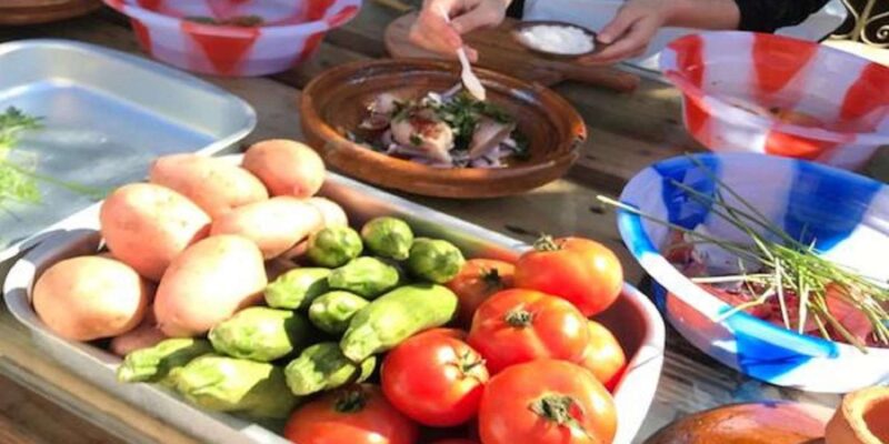 Agadir or Taghazout: Cooking Class & Paradise Valley Trip - Highlights and Inclusions