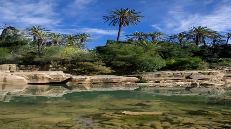 Agadir or Taghazout: Crocoparc + Dolphin World + Tickets - Croco Parc: Nile Crocodile Haven