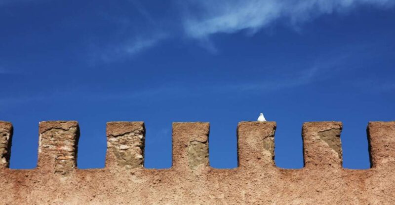 Agadir or Taghazout: Essaouira Guided Day Trip - Coastal Drive and Picturesque Route