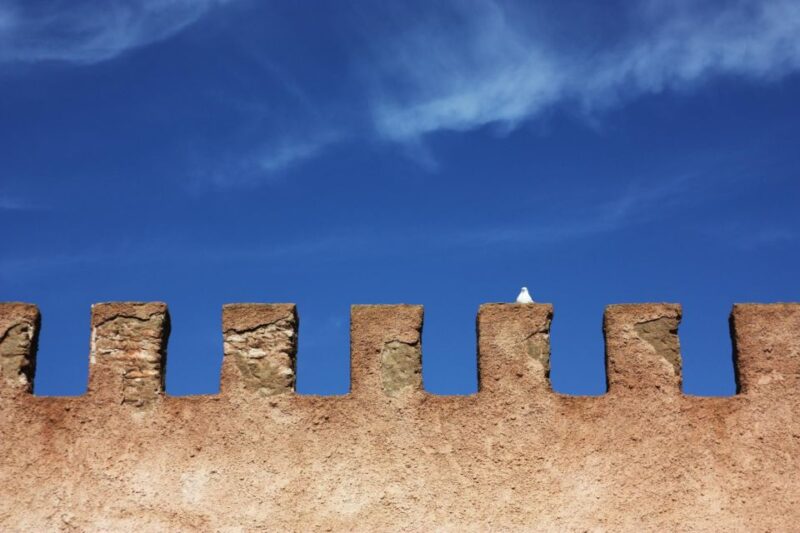 Agadir or Taghazout: Essaouira Guided Day Trip - Goats Climbing Argan Trees