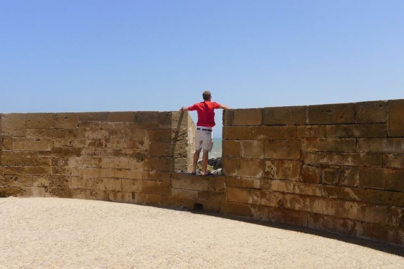 Agadir or Taghazout: Essaouira Guided Day Trip - Old Town and Brass Cannons