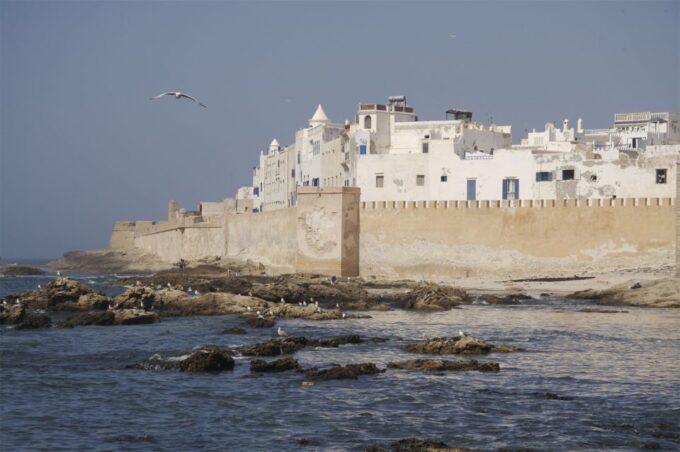 Agadir or Taghazout: Essaouira Guided Day Trip - Argan Oil Extraction and Uses