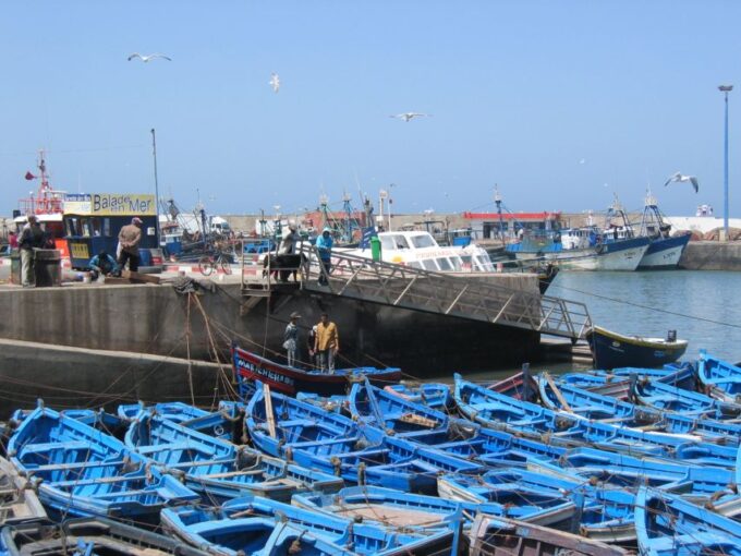 Agadir or Taghazout Essaouira Old City Day Trip With Guide - Customer Feedback and Considerations