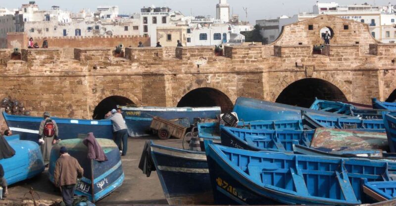 Agadir or Taghazout Essaouira Old City Day Trip With Guide - Argan Tree Experience and Cooperative