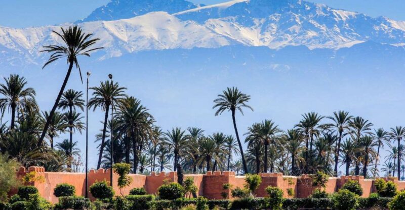 Agadir or Taghazout: Marrakech Trip With Licensed Tour Guide - Exploring Marrakech Medina