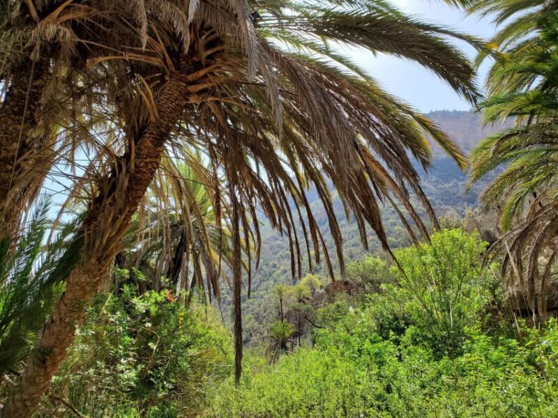 Agadir ou Taghazout : Vallée du Paradis avec Déjeuner & Transferts 5