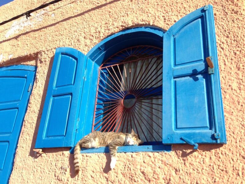Agadir or Taghazout Sightseeing Old City With Big Market - Ascent to the Historic Kasbah