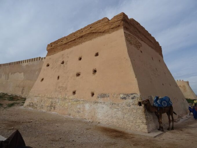 Agadir or Taghazout Sightseeing Old City With Big Market - Highlights of the Excursion
