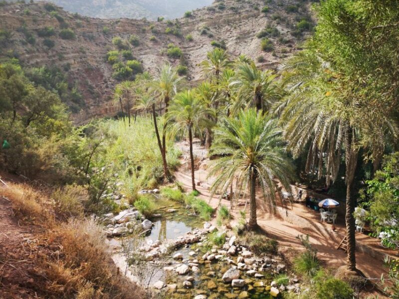 Agadir: Paradise Valley & Desert Sand Dunes With Camel Ride - Good To Know