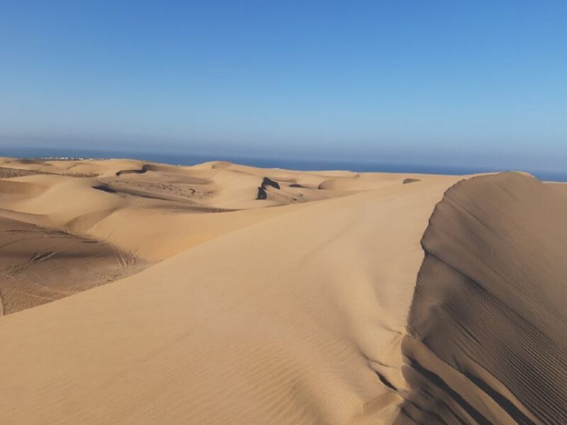 Agadir: Paradise Valley & Desert Sand Dunes With Camel Ride - Camel Ride in Timlalin