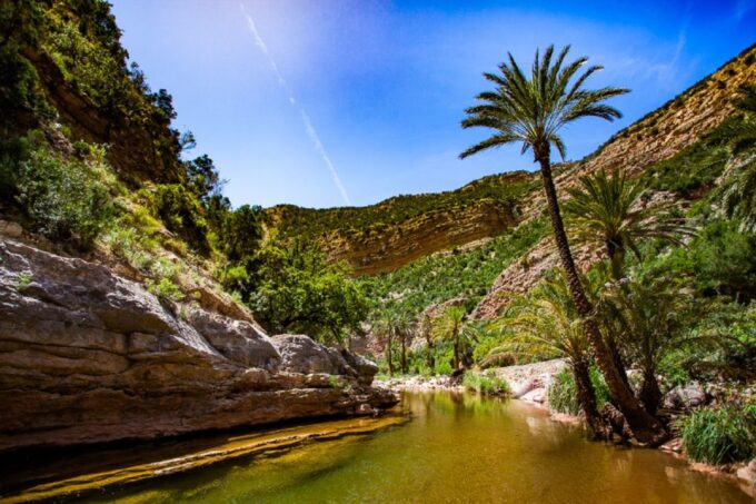 Agadir: Paradise Valley & Desert Sand Dunes With Camel Ride - Highlights of the Experience
