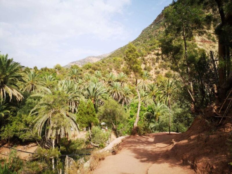 Agadir: Paradise Valley & Desert Sand Dunes With Camel Ride - Inclusions