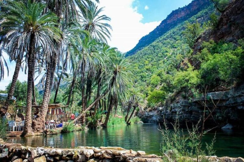 Agadir: Paradise Valley & Desert Sand Dunes With Camel Ride - Customer Feedback