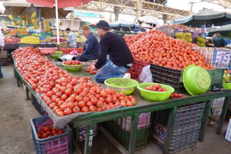 Agadir Private Day Trip From Marrakech - Argan Oil House and Production