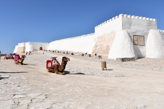 Agadir Private Sightseeing & Medina Polizzi Discovery - Common Issues and Recommendations