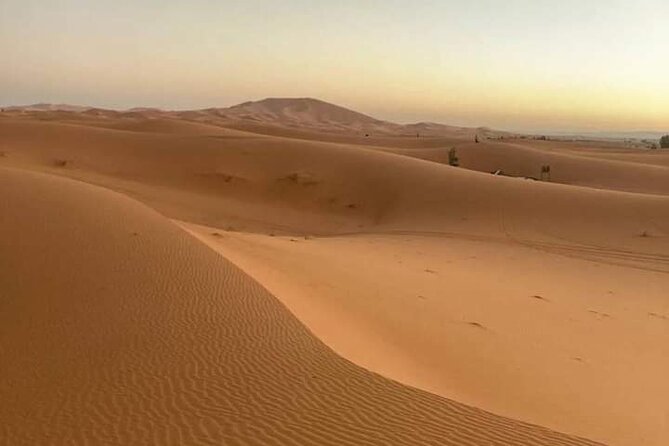 Agadir Sahara Day Trip With Lunch - Accessibility Features