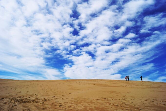 Agadir: Sand Surfing Experience - Flexible Booking and Cancellation Policies