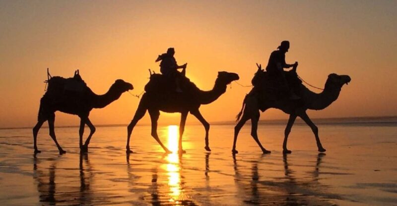 Agadir: Sunset Camel Riding Experience And Relaxing Massage - Experience Overview