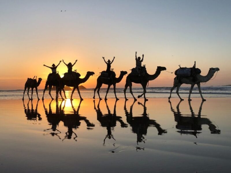 Agadir: Sunset Camel Riding Experience And Relaxing Massage - The Camel Ride Adventure