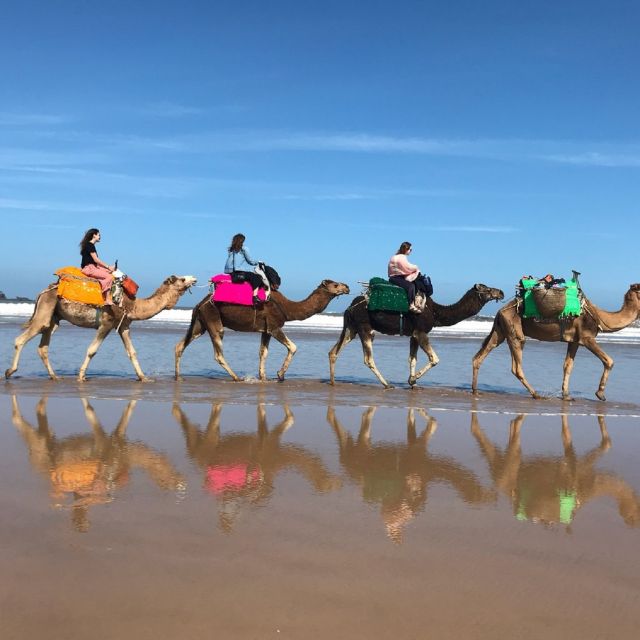 Agadir: Sunset Camel Riding Experience And Relaxing Massage - Inclusions and Exclusions