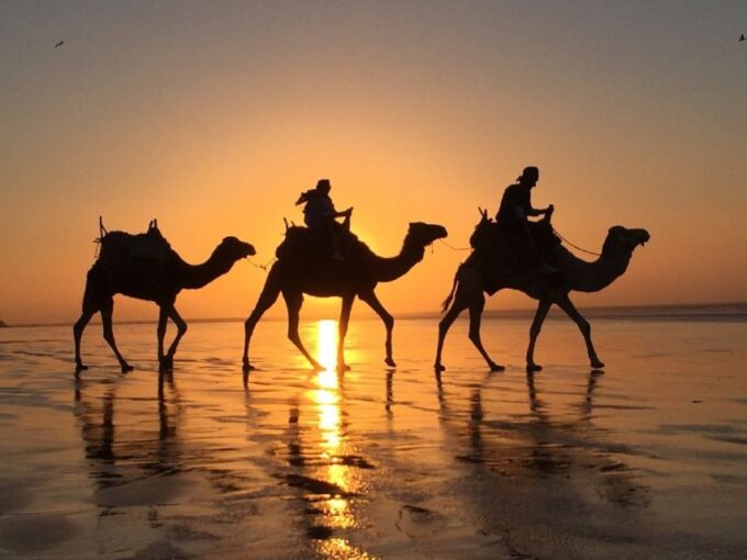 Agadir: Sunset Camel Riding Experience And Relaxing Massage - Customer Feedback and Recommendations