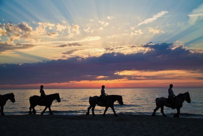 Agadir: Sunset Horse Riding Experience And Relaxing Massage - Important Safety Precautions