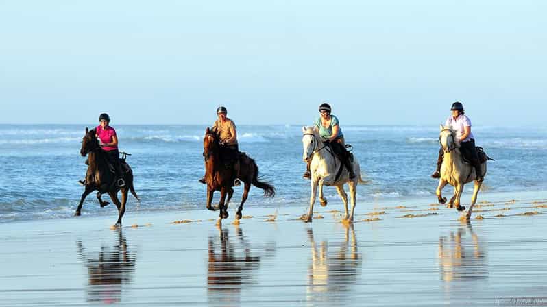 Agadir/Taghazout: Camel & Horse Ride on the Beach - Experience Highlights
