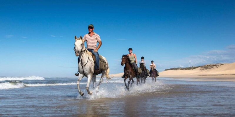 Agadir/Taghazout: Camel & Horse Ride on the Beach - Booking Information
