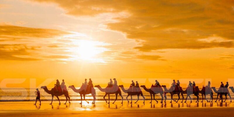 Agadir/Taghazout: Camel & Horse Ride on the Beach - Scenic Journey