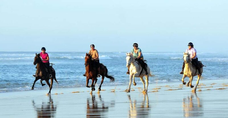 Agadir/Taghazout: Camel & Horse Ride on the Beach - Memorable Experience