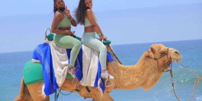 Agadir/Taghazout: Camel & Horse Ride on the Beach - Tour Duration and Pricing