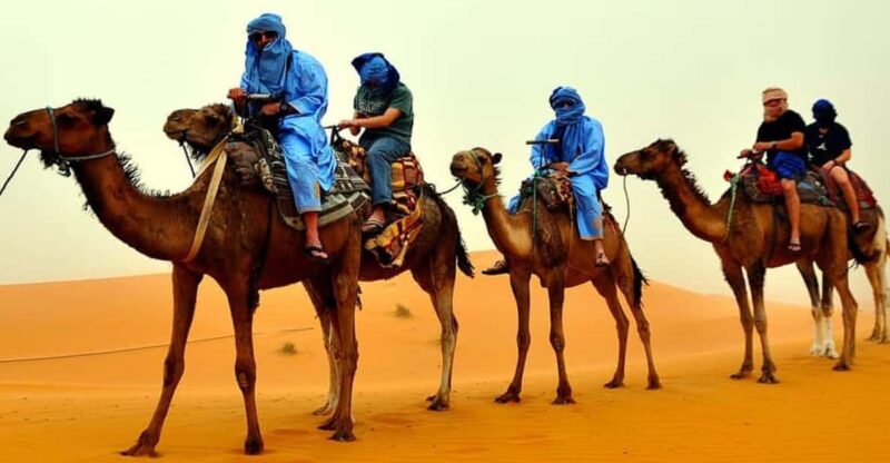 Agadir/Taghazout: Camel Ride on the Desert & Sandboarding - Highlights of the Adventure