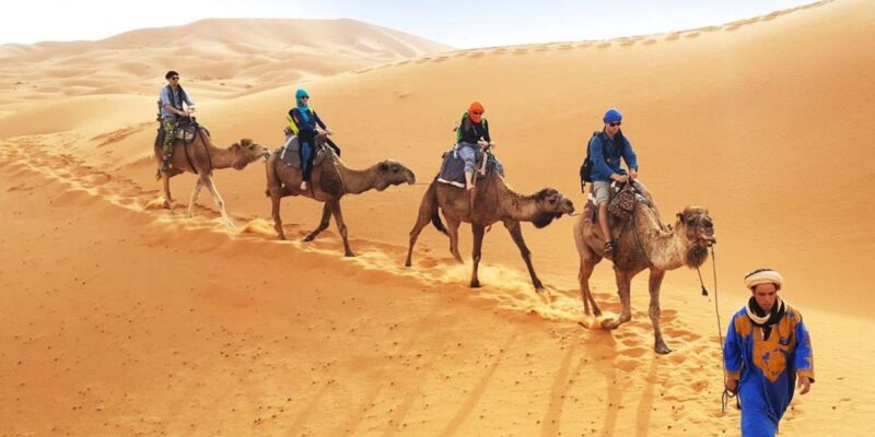 Agadir/Taghazout: Camel Ride on the Desert & Sandboarding - Booking and Pricing