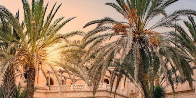 Agadir/Taghazout: Old Medina of Coco Polizzi and Agadir Tour - Frequently Asked Questions