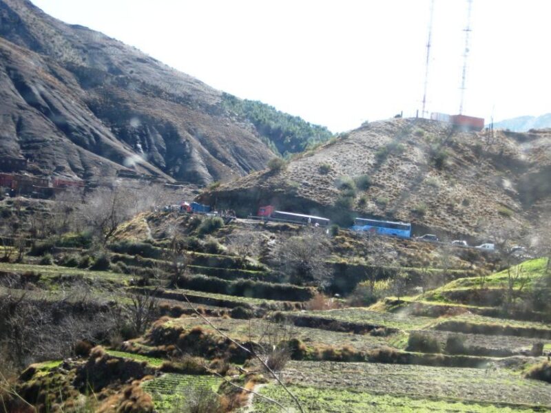 t4172882