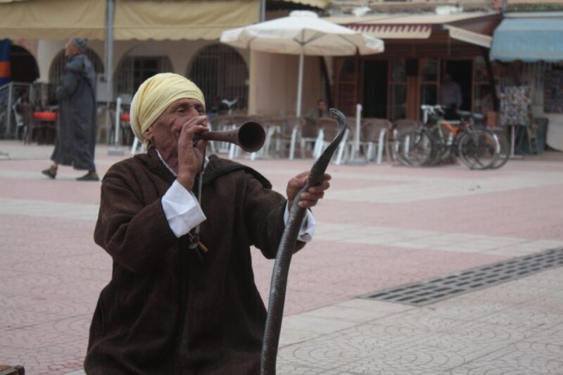 Agadir: Taroudant and Tiout Day Trip & Tajine - Language and Tour Guide